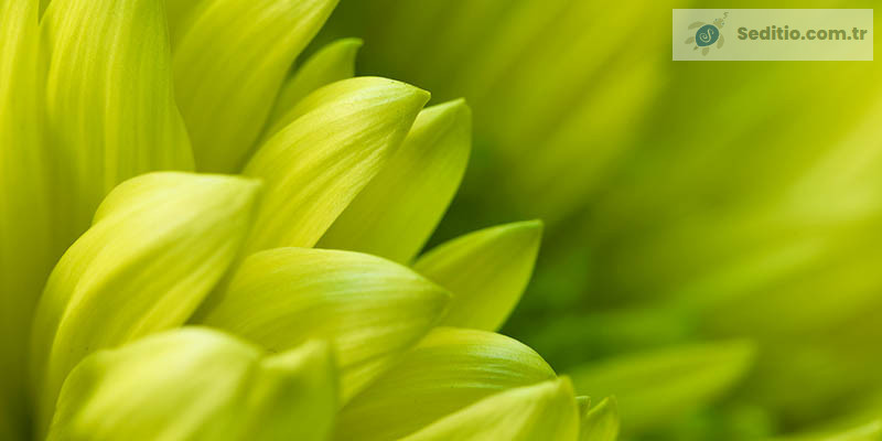 Jpeg XR Nedir? JXR Dosyası nedir?