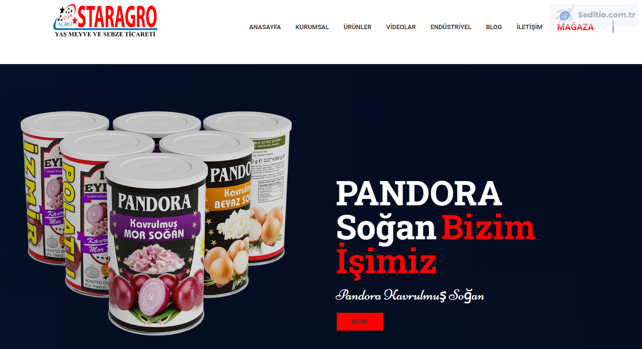 Soğan Konservesi - Soğan Suyu - Polatlı Soğan