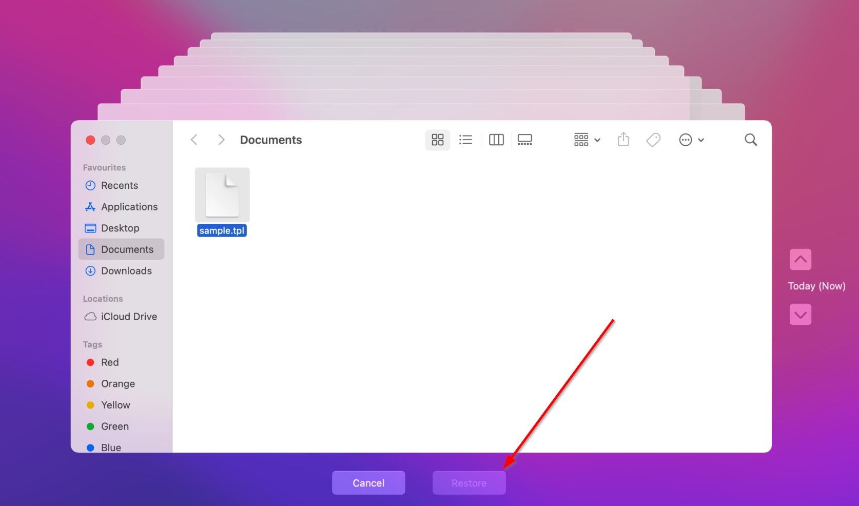 TPL Dosyası Nedir ? .TPL Uzantısı